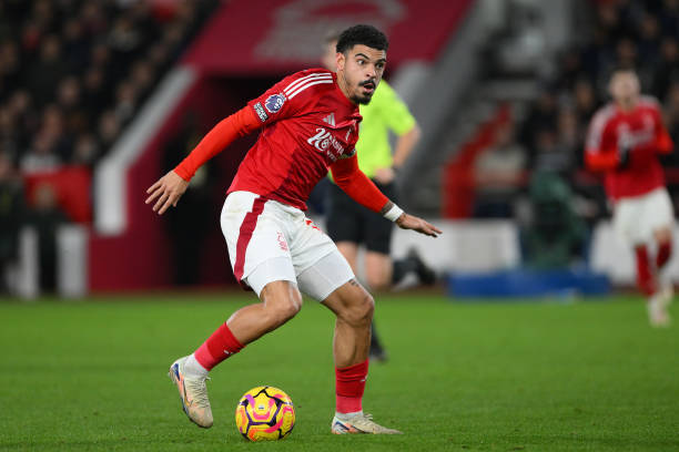 家隊陣容之 家隊陣容之